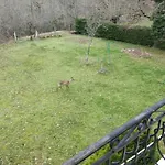 La Cote De Graves *